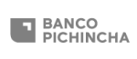 Logotipo gris del Banco Pichincha, entidad financiera aliada de Monkey Plus