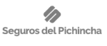 Logotipo gris de Seguros del Pichincha, empresa aseguradora cliente de Monkey Plus